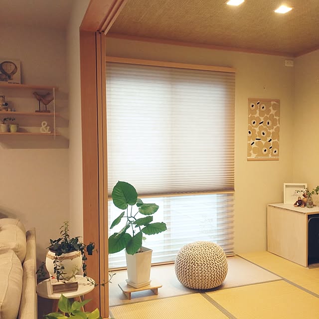 tan5さんの実例写真