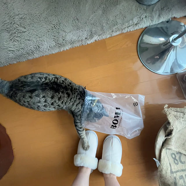 Mさんの部屋