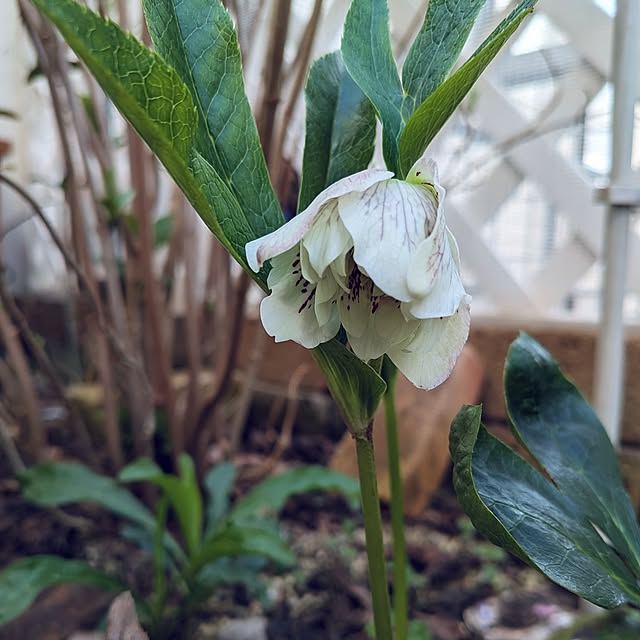 Bienvenueさんの部屋