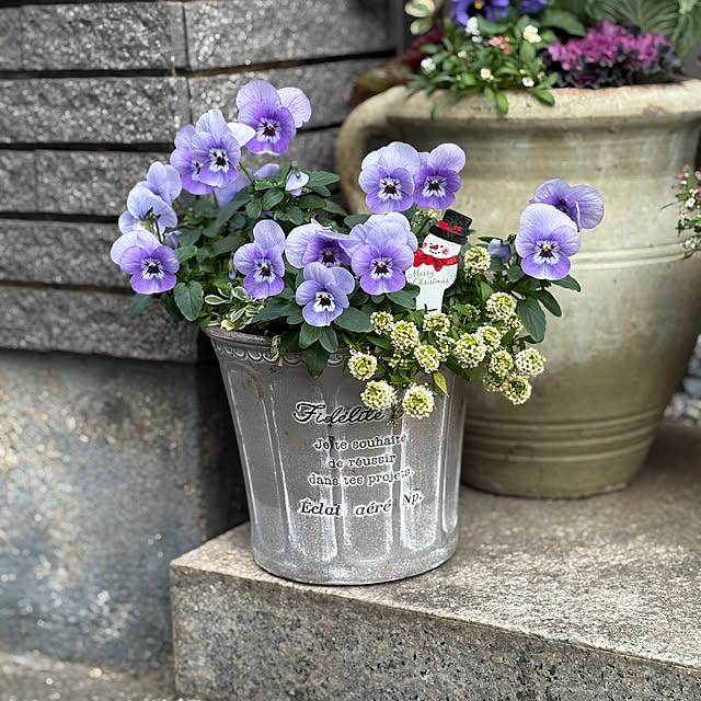 maayaさんの部屋