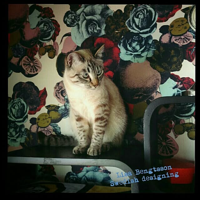 tamiさんの実例写真