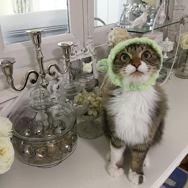 yuchiさんの実例写真