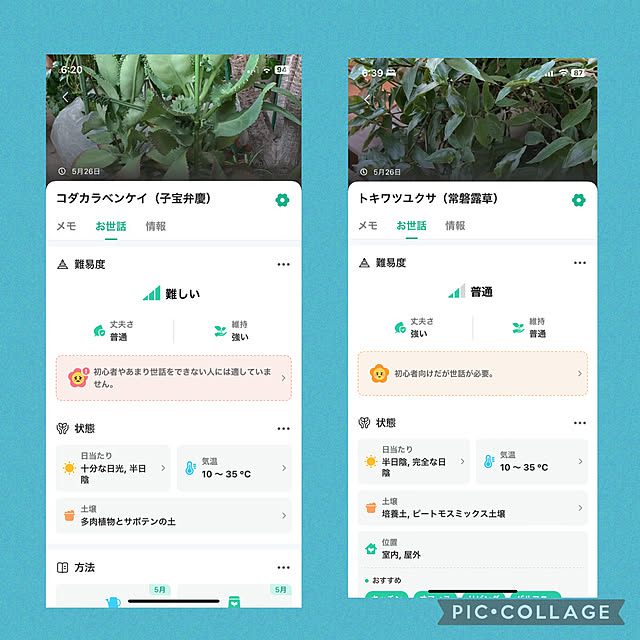 Aqettyさんの部屋