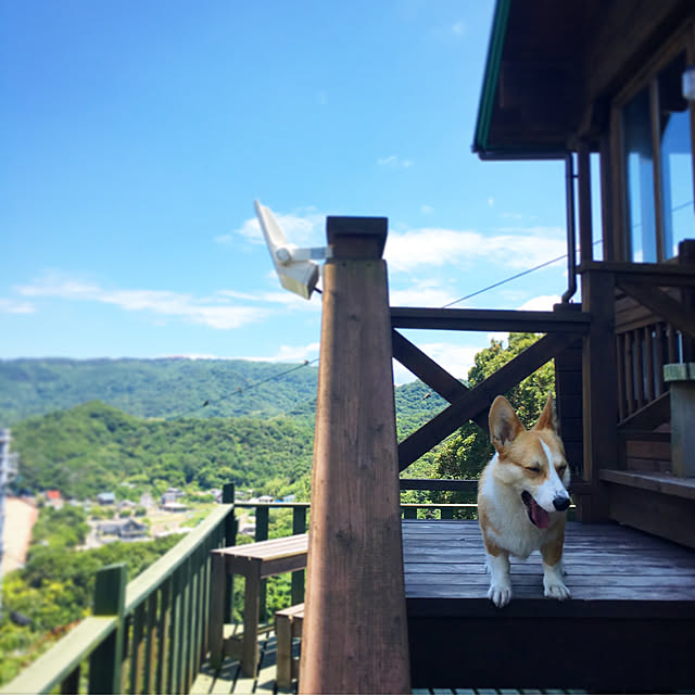 saaayanさんの実例写真