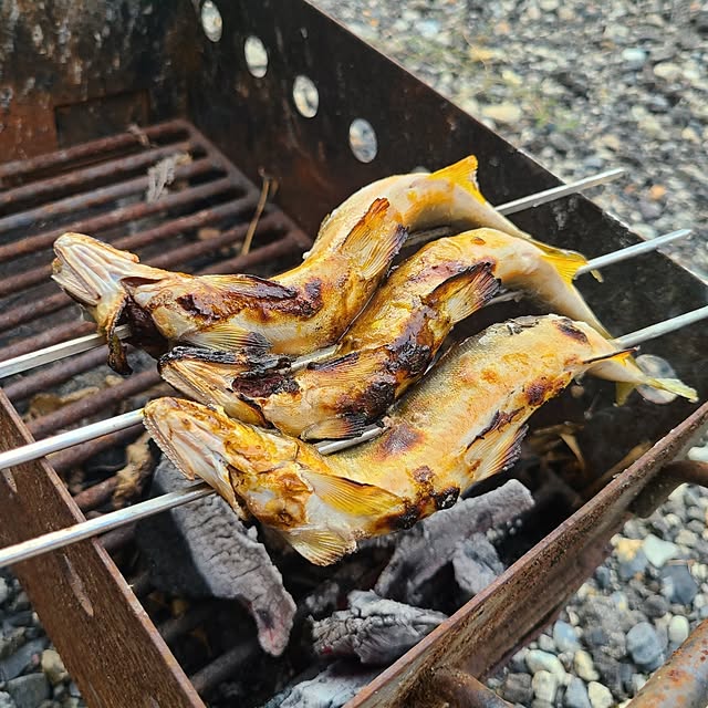 Rubiconさんの部屋