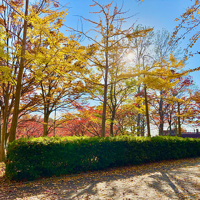 naokoさんの部屋