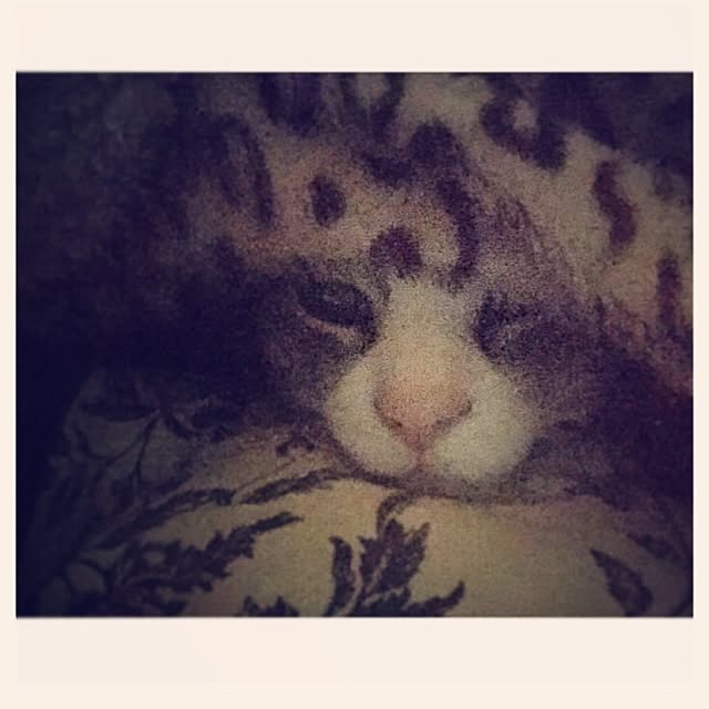 sawayさんの実例写真
