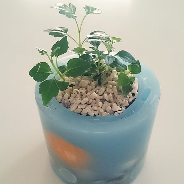 yoyoさんの実例写真