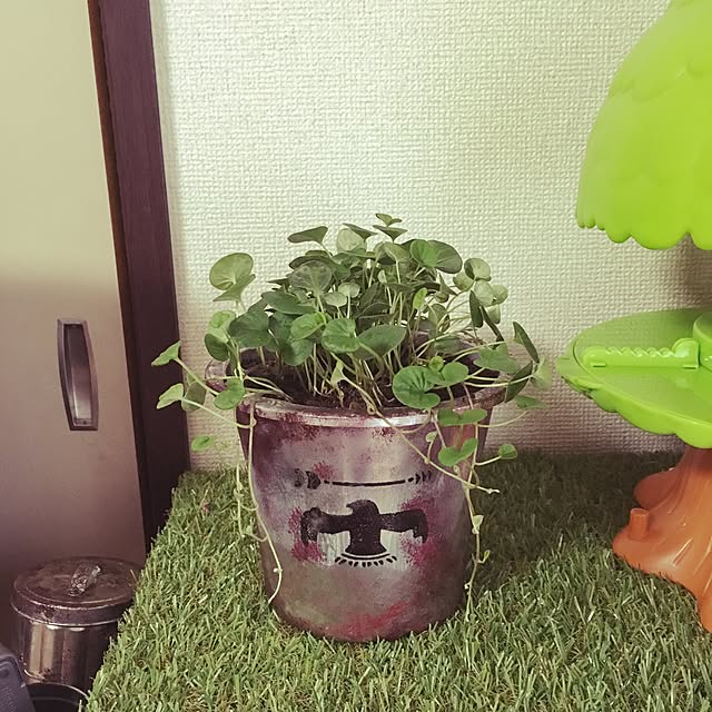 emiさんの実例写真