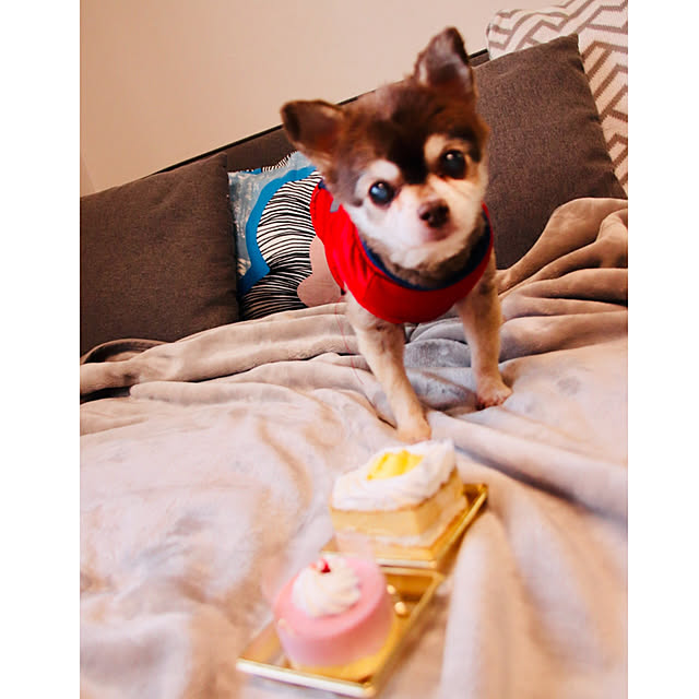 Fumiさんの実例写真