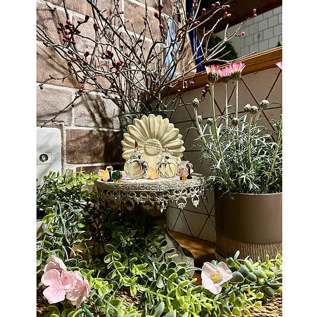cotaさんの部屋