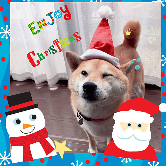 ronmaruさんの実例写真