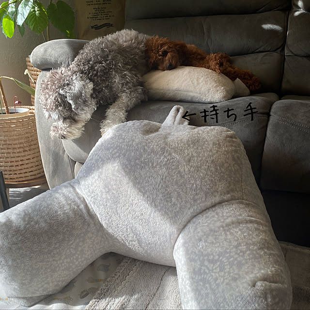 alchoさんの実例写真