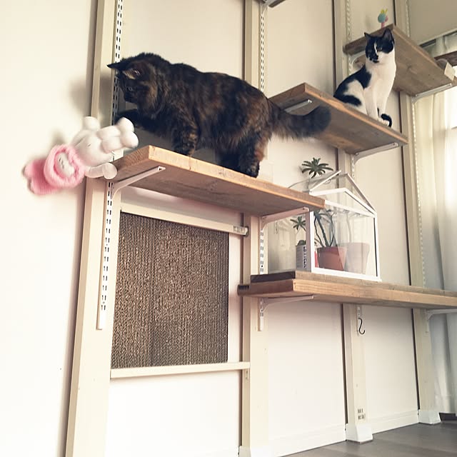 mikomaruさんの実例写真