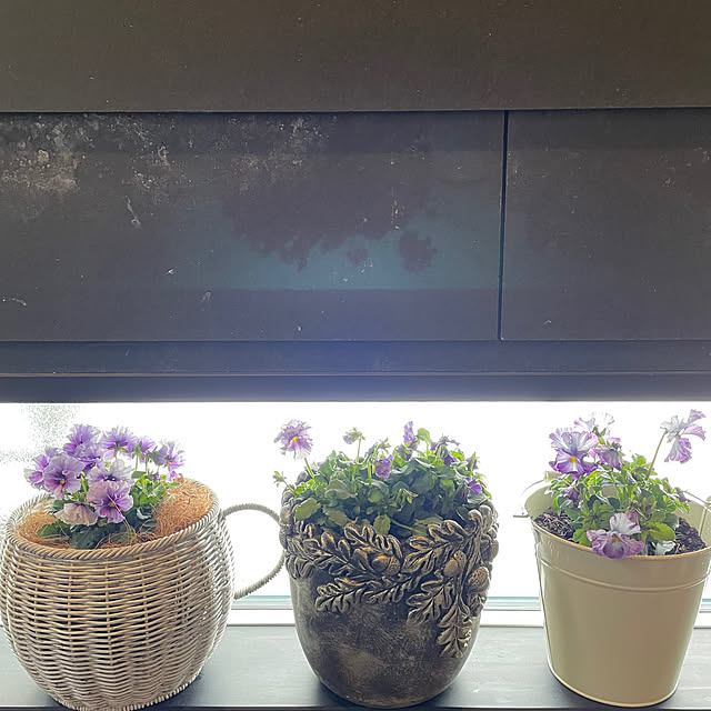 ake_h_mさんの実例写真