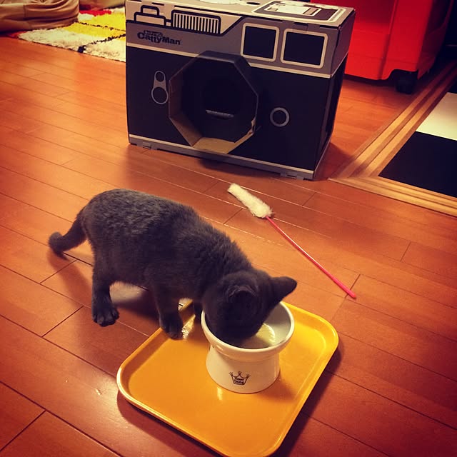 Shojiさんの実例写真