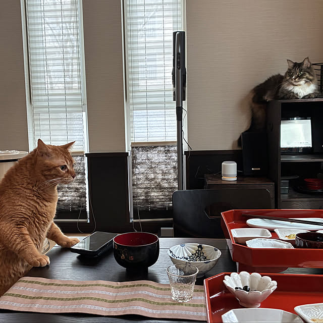 Hisashiさんの実例写真