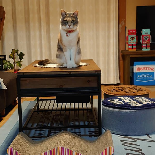 fukuさんの実例写真