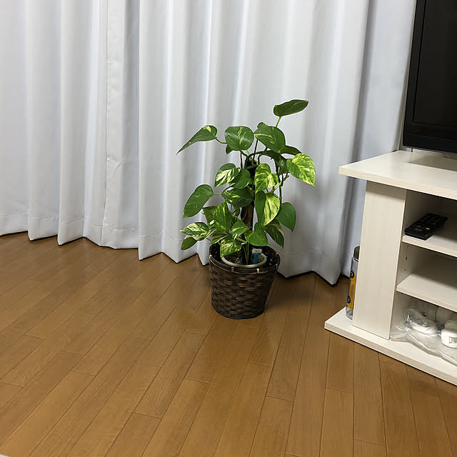 Mikaさんの実例写真