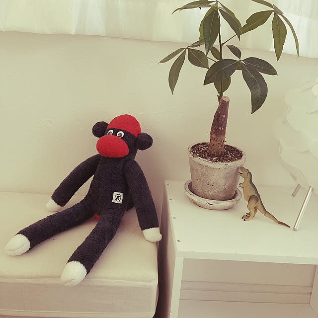 mu_chanさんの実例写真