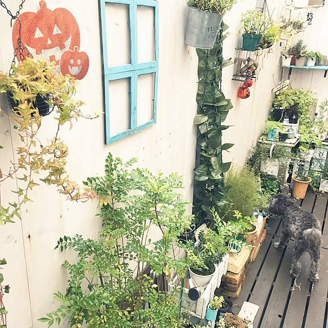 makoriさんの実例写真