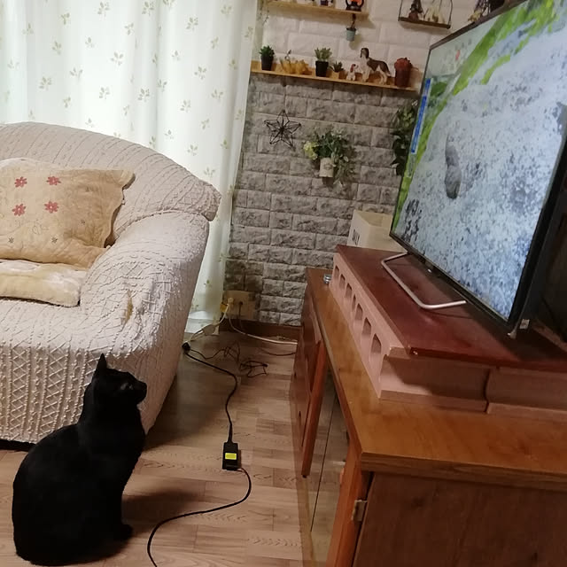 Tomopさんの実例写真
