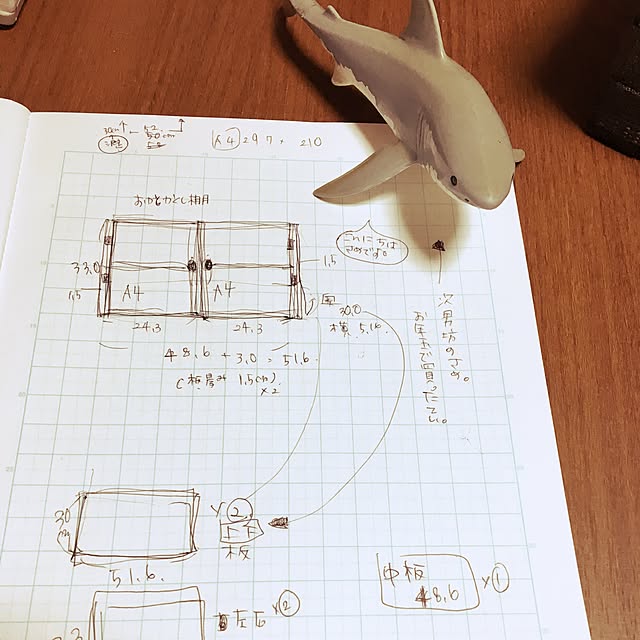 sapi56brrさんの実例写真