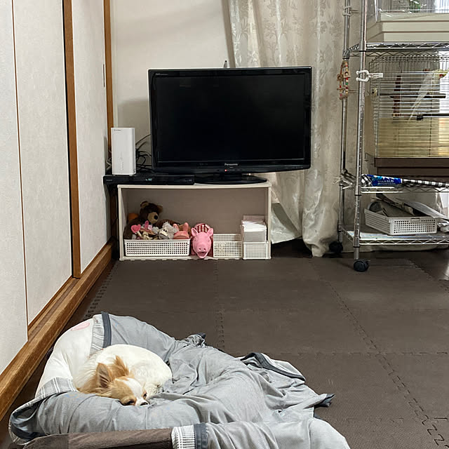 toratanさんの実例写真