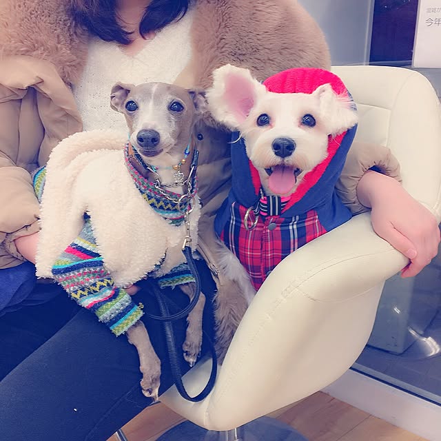suzyさんの実例写真