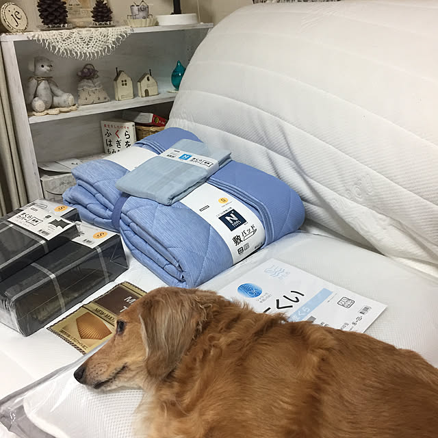 Atelier.mさんの実例写真
