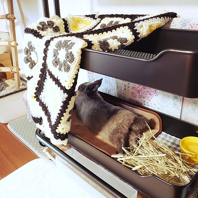 kirariさんの部屋