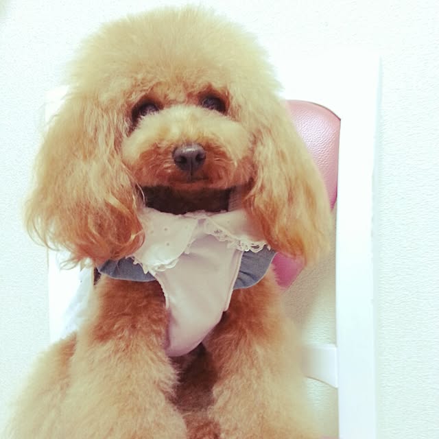 potetoさんの実例写真