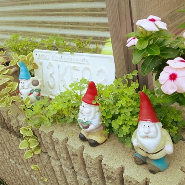 chipinoさんの実例写真