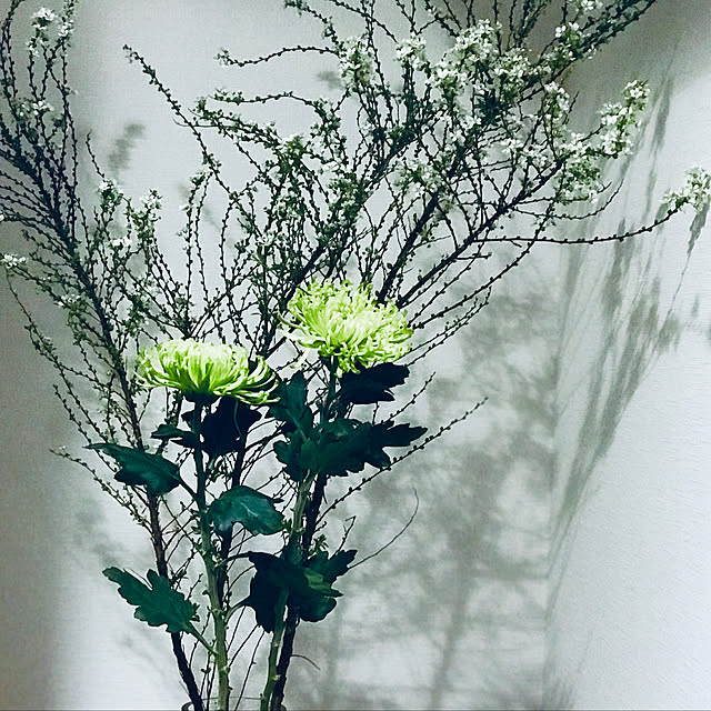 玄関/入り口/照明/観葉植物のインテリア実例 - 2019-01-06 17:00:05