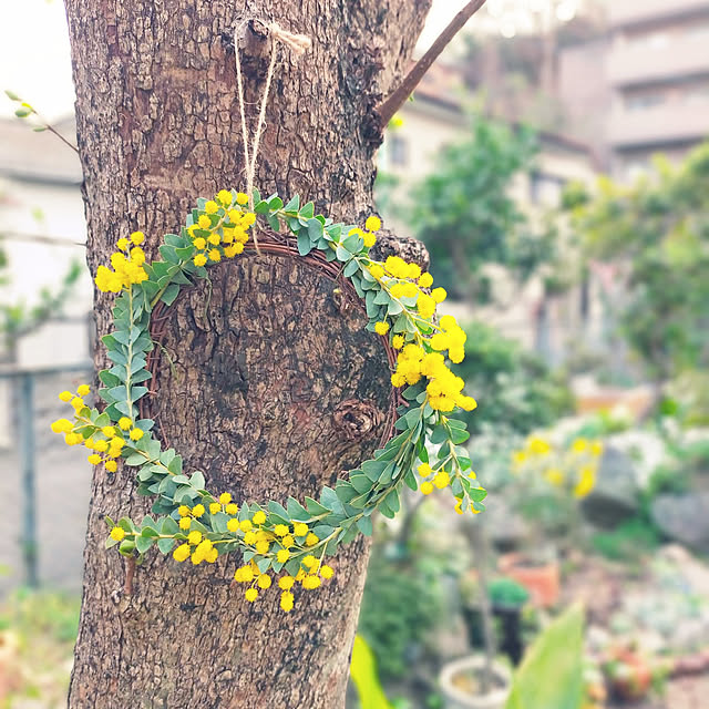 kamehana0902さんの実例写真