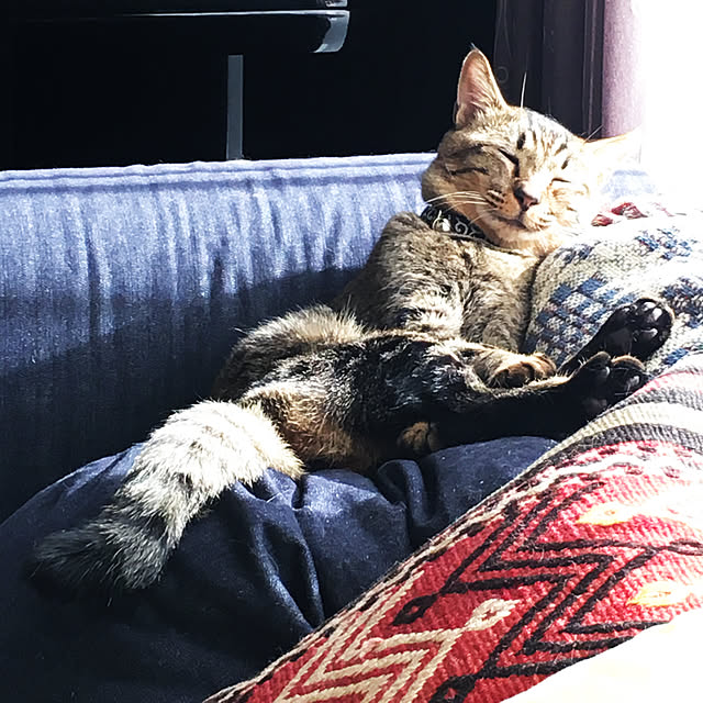 akkorosukeさんの実例写真
