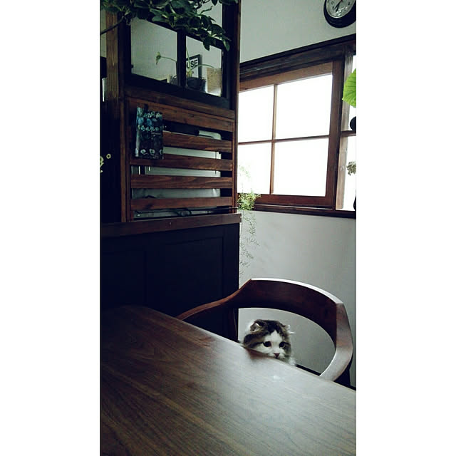 konoharuさんの実例写真