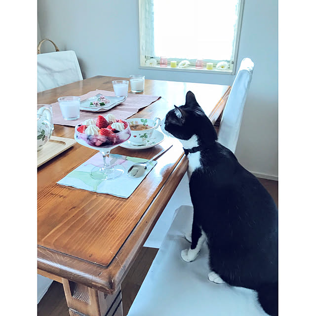 hiyo.pietさんの実例写真