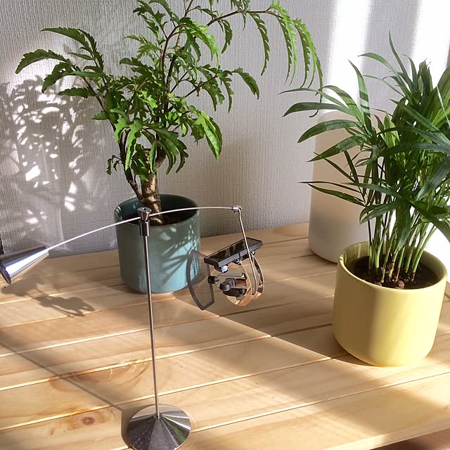 asupararinrinさんの実例写真