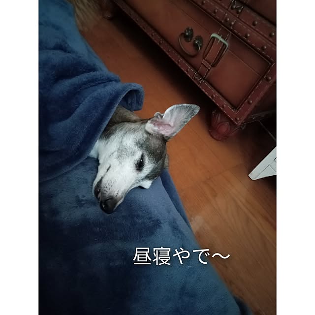 moruさんの部屋
