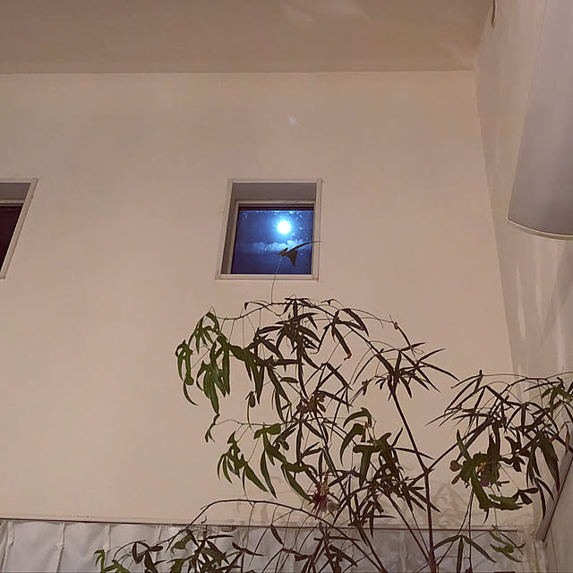 noma--1202さんの実例写真