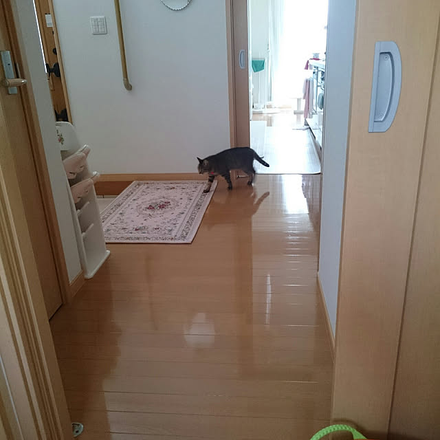 lilyさんの実例写真