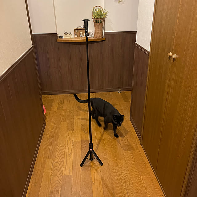 chikaさんの実例写真