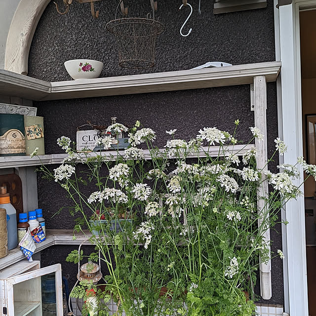 hilltopgardenさんの実例写真
