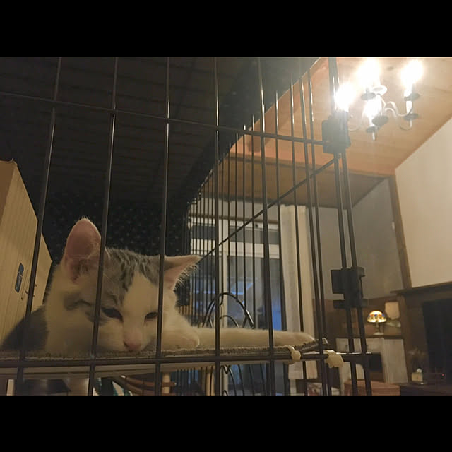 marusanさんの実例写真