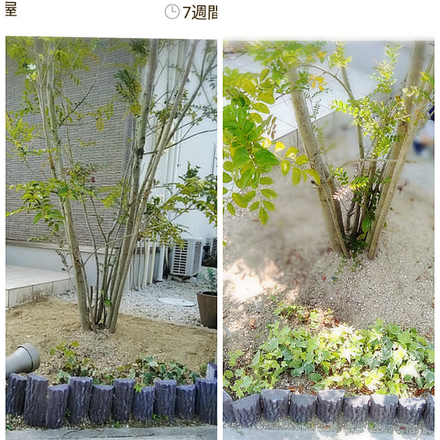 kodaminさんの実例写真