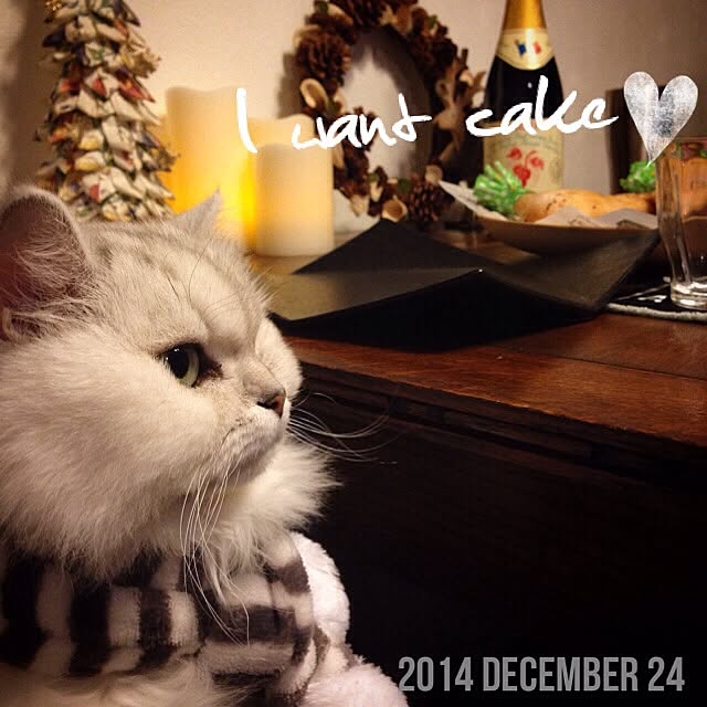 sakuさんの実例写真