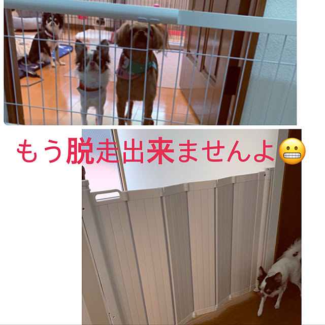 makoさんの実例写真