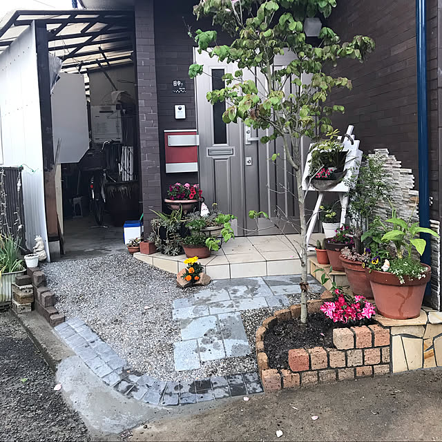 実例写真