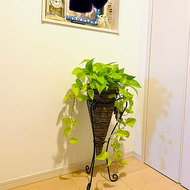 aiaiさんの実例写真
